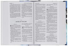 Load image into Gallery viewer, Holy Bible - Sterling edition pocket hardcover