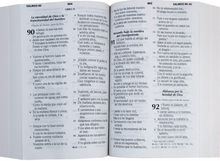 Load image into Gallery viewer, Santa Biblia, Reina-Valera 1960 - Letra Gigante