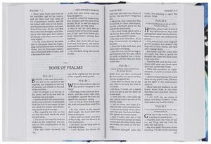 Holy Bible - Sterling edition pocket hardcover