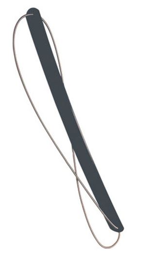 Spring Belt - Science and Health - French / Italian / Russian
