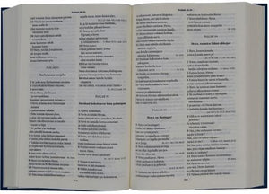 Pyhä Raamattu, 1992