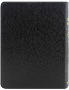 NIV Clarion Reference Bible