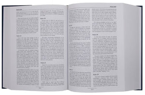 The New Interpreter’s Bible One-Volume Commentary