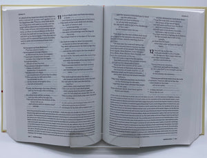 New Oxford Annotated Bible NRSV 5th Edition