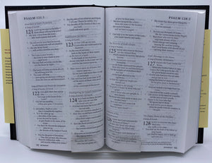 Holy Bible: New Revised Standard Version (NRSV)