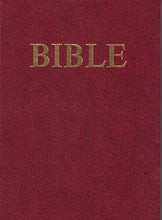 Load image into Gallery viewer, Bible - Písmo svaté Starého a Nového zákona
