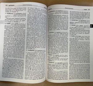 The New Strong's Expanded Dictionary of Bible Words